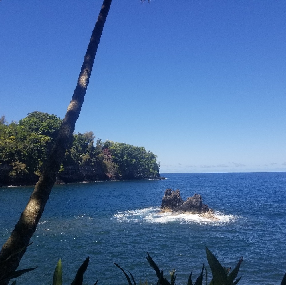 Meet your Posher, Dulce